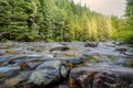 Mountain river in the forest at sunrise Royalty Free Stock Photo