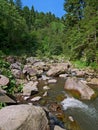 Mountain river in forest in Ukrainian Carpatians Royalty Free Stock Photo