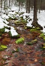 A mountain river in the forest in winter, calm water flows along the river bed with stones covered with green moss Royalty Free Stock Photo