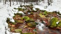 A mountain river in the forest in winter, calm water flows along the river bed with stones covered with green moss Royalty Free Stock Photo