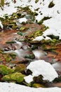 A mountain river in the forest in winter, calm water flows along the river bed with stones covered with green moss Royalty Free Stock Photo