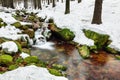 A mountain river in the forest in winter, calm water flows along the river bed with stones covered with green moss Royalty Free Stock Photo