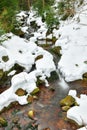 A mountain river in the forest in winter, calm water flows along the river bed with stones covered with green moss Royalty Free Stock Photo