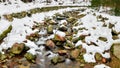 A mountain river in the forest in winter, calm water flows along the river bed with stones covered with green moss Royalty Free Stock Photo