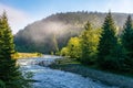 Mountain river among the forest