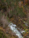Mountain river between forests and rocks in autumn. Pyrenees Aragonese Royalty Free Stock Photo