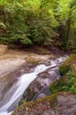 Mountain river in Georgia with a fast current in the stones. Landscape in the forest near the stream, white water with