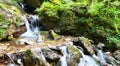 Mountain river with green mossy stones and small waterfall. Captured in Prosiecka Dolina, Slovak Natural Park in Slovakia.. Royalty Free Stock Photo