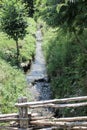 Mountain river and green scenery. Transfagarasan road. Romania Royalty Free Stock Photo