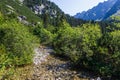 Mountain river at the High Tatras National Park