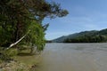 Mountain river Katun. Siberia