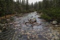 Mountain river in 5 lakes valley in Tatra Mountains, Poland Royalty Free Stock Photo