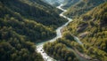 Mountain river. Mountain landscape. Panorama of a fast winding river in the middle of a mountain forest Royalty Free Stock Photo