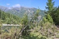 Mountain river landscape in Siberia - stream of a mountain river running between mountains in summer. Royalty Free Stock Photo