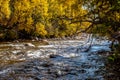 Mountain river lit by the sun flowing between bushes with yellow autumn foliage. Royalty Free Stock Photo