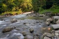 Mountain river on a long exposure in the summer in the Carpathian forests, a beautiful landscape Royalty Free Stock Photo