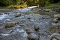 Mountain river on a long exposure in the summer in the Carpathian forests, a beautiful landscape Royalty Free Stock Photo
