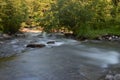 Mountain river on a long exposure in the summer in the Carpathian forests, a beautiful landscape Royalty Free Stock Photo