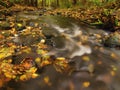 Mountain river with low level of water, gravel with first colorful leaves. Mossy rocks and boulders on river bank. Royalty Free Stock Photo