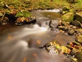 Mountain river with low level of water, gravel with first colorful leaves. Mossy rocks and boulders on river bank. Royalty Free Stock Photo