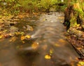 Mountain river with low level of water, gravel with first colorful leaves. Mossy rocks and boulders on river bank. Royalty Free Stock Photo