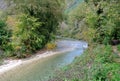 Mountain river in the middle of green forest in italy Royalty Free Stock Photo