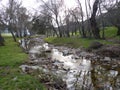 Mountain river in the middle of green forest Royalty Free Stock Photo