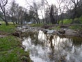 Mountain river in the middle of green forest Royalty Free Stock Photo