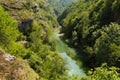 Mountain river in the middle of green forest Royalty Free Stock Photo