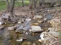 Mountain river in the middle of green forest Royalty Free Stock Photo