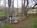 Mountain river in the middle of green forest Royalty Free Stock Photo