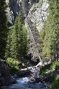 mountain river mornig between rocks and trees usa