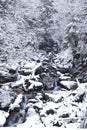 Mountain River In The Mountain Winter Forest With Snow-covered Trees And Snowfall