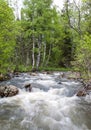 Mountain river nature reserve Zyuratkul South Ural