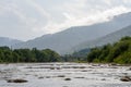 Mountain river with rapids and rifts, slopes with coniferous trees, bubbling stream of water