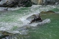 Mountain river rapids between stones perfect stream Royalty Free Stock Photo