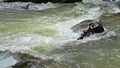 Mountain river rapids between stones pure stream Royalty Free Stock Photo