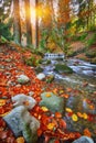 Mountain river with rapids and waterfalls at autumn time time Royalty Free Stock Photo