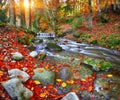 Mountain river with rapids and waterfalls at autumn time time Royalty Free Stock Photo