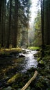 Mountain stream in the fairy forest Royalty Free Stock Photo