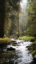 Mountain stream in the fairy forest Royalty Free Stock Photo