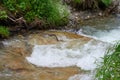 Rapid course of a mountain river.