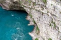 mountain river and rocks with green fresh plants Royalty Free Stock Photo