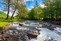 Mountain river runs through the green valley