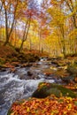 Mountain river runs through natural park