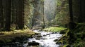 Mountain stream in the fairy forest Royalty Free Stock Photo