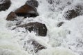 Rapid course of a mountain river.