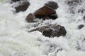 Rapid course of a mountain river.