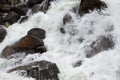 Rapid course of a mountain river.