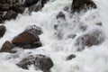 Rapid course of a mountain river.